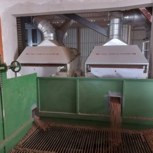 DURAK FINDIK/ HENDEK/ SAKARYA