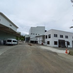 NUTEKS FINDIK İŞLETMELERİ/ AKÇAKOCA/ DÜZCE
