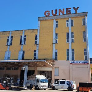 GÜNEY FINDIK/ ORDU